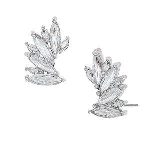 Traci Lynn Ear Candy Earrings - Clear